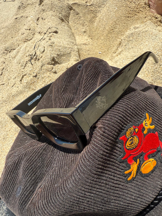 Sad Can 2.5 polarized Black